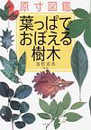 葉っぱでおぼえる樹木